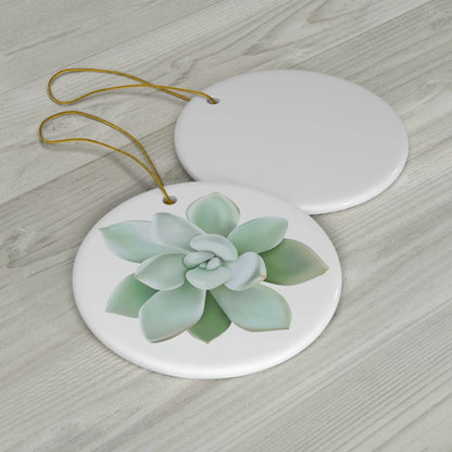 Pachyveria Haagei Succulent Ceramic Ornament – Pastel Blue Holiday Decor
