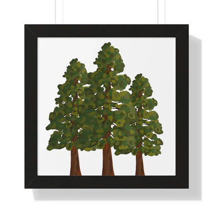 Coastal Redwood Framed Print – Wall Art