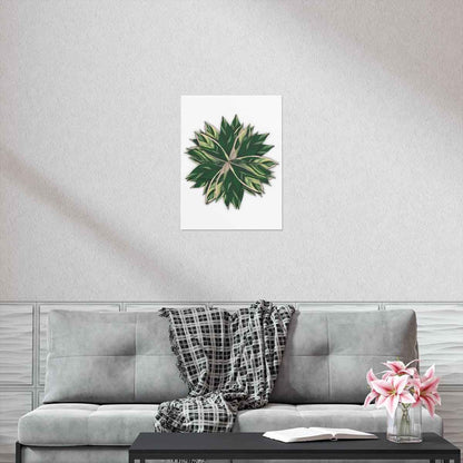 Stromanthe Triostar Botanical Print – Unframed Wall Art