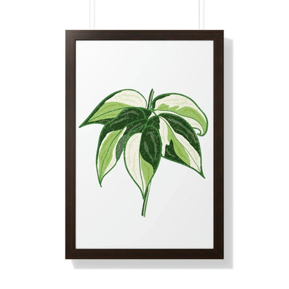 Philodendron Cream Splash Framed Print – Botanical Wall Art