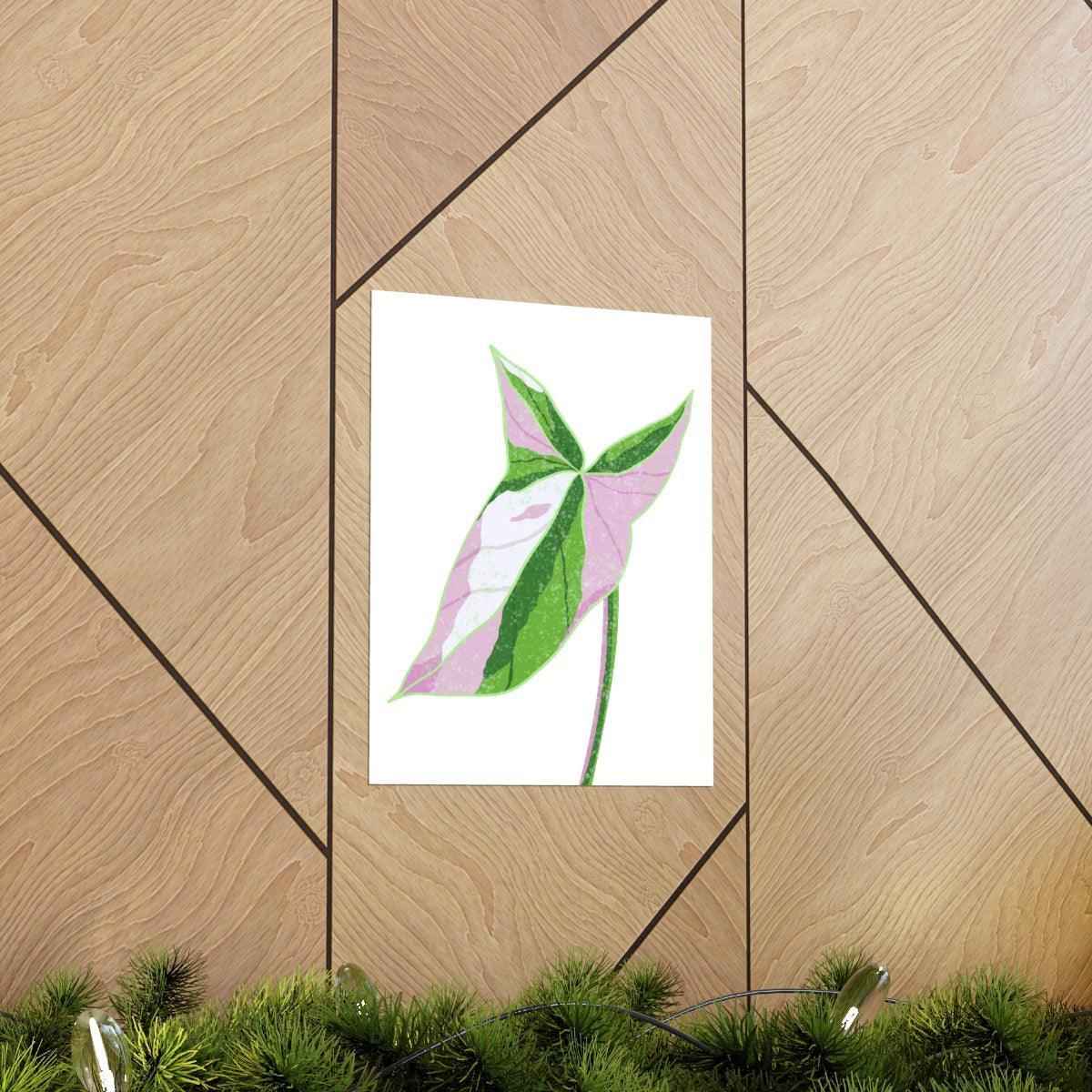 Syngonium Tricolor Botanical Print – Unframed Wall Art