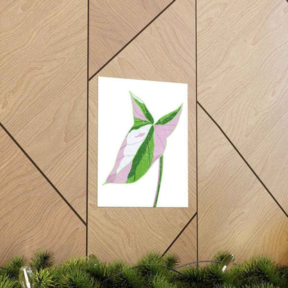 Syngonium Tricolor Botanical Print – Unframed Wall Art
