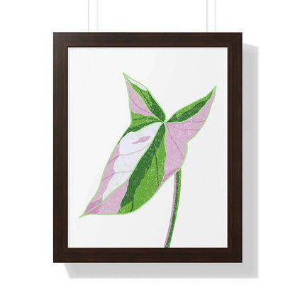 Syngonium Tricolor Framed Print – Botanical Wall Art