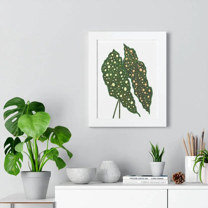 Begonia Maculata Framed Print – Botanical Wall Art