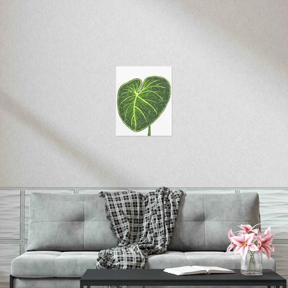 Philodendron Gloriosum Botanical Print – Unframed Wall Art