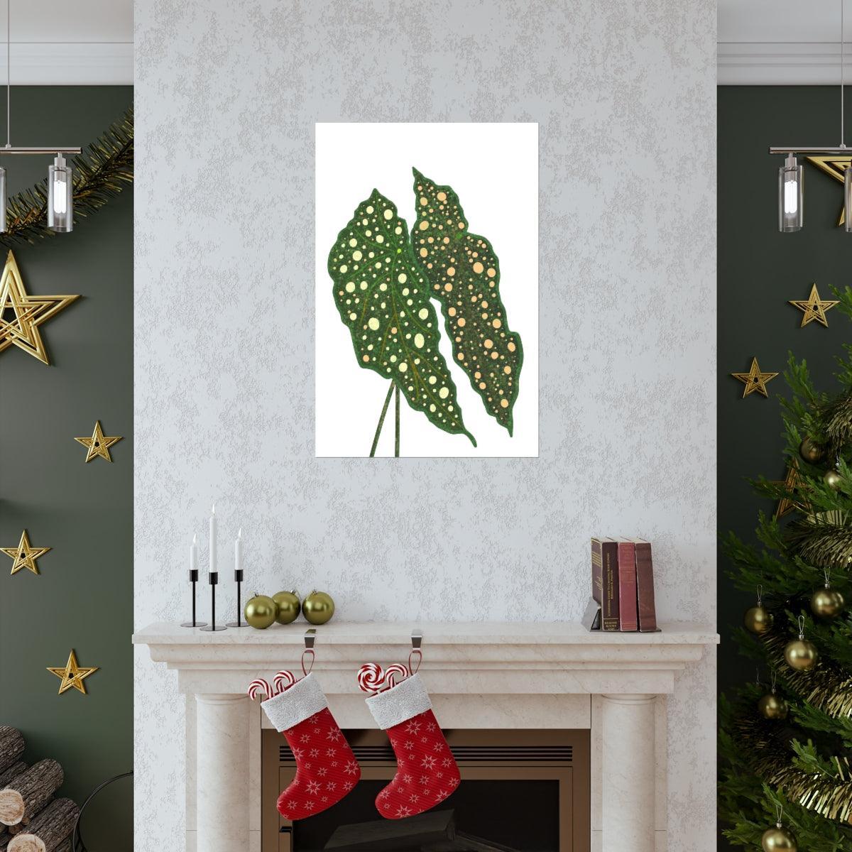 Begonia Maculata Botanical Print – Unframed Wall Art