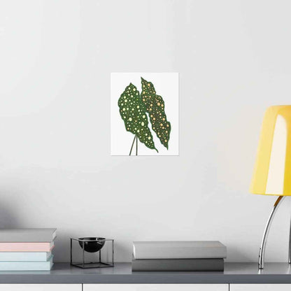 Begonia Maculata Botanical Print – Unframed Wall Art
