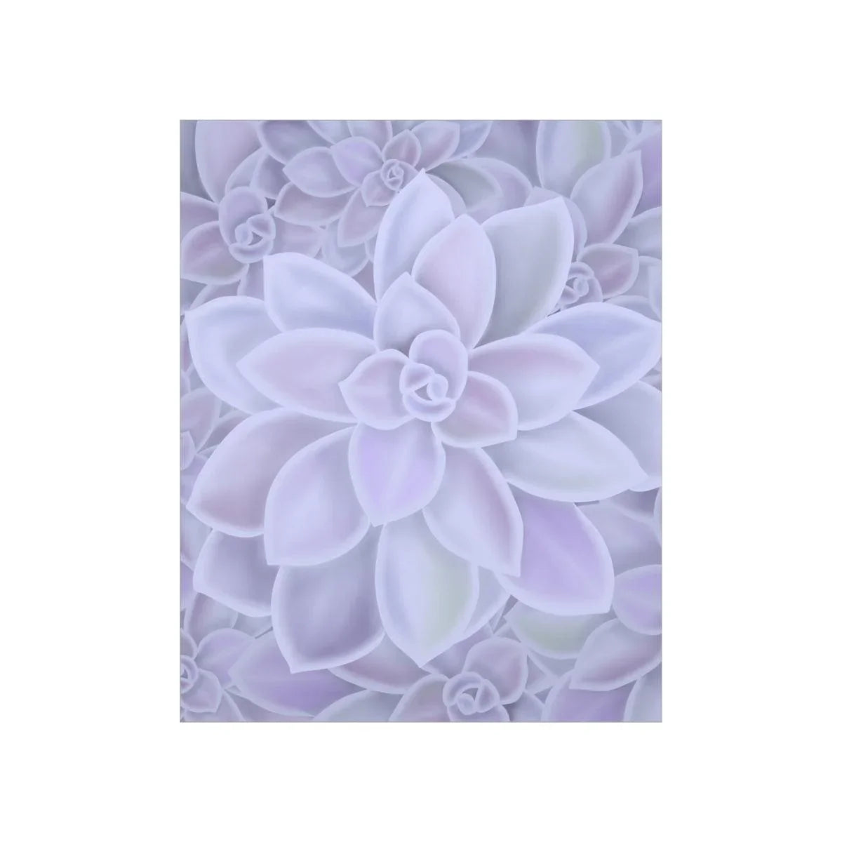 Graptopetalum Murasaki Succulent Pattern Botanical Print – Unframed Wall Art