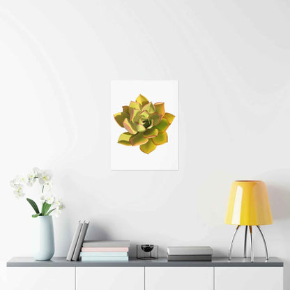 Noble Aeonium Succulent Botanical Print – Unframed Wall Art