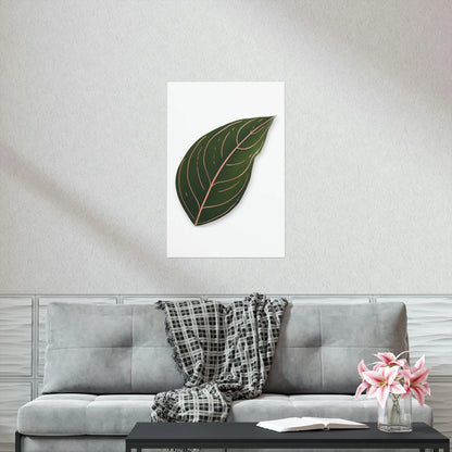 Aglaonema Rotundum Botanical Print – Unframed Wall Art