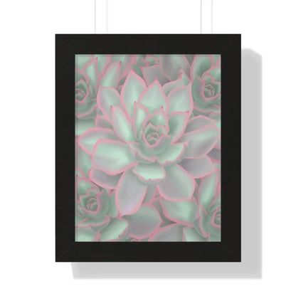 Echeveria Violet Queen Succulent Pattern Framed Print – Botanical Wall Art