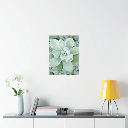 Pachyveria Haagei Succulent Pattern Botanical Print – Unframed Wall Art