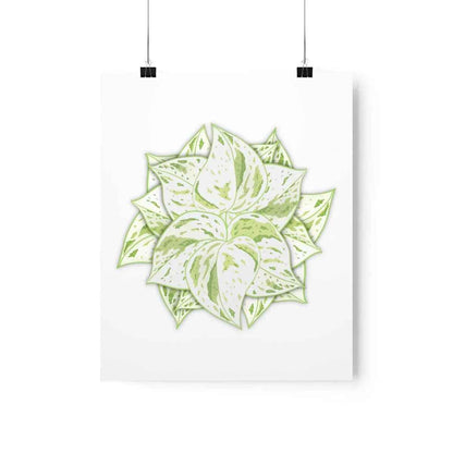 Snow Queen Pothos Botanical Print – Unframed Wall Art