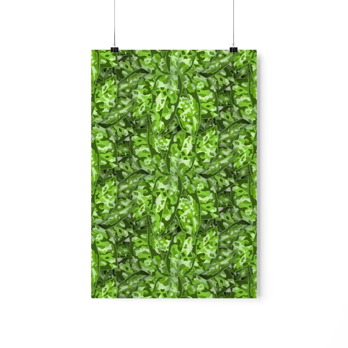 Aglaonema Pictum Botanical Print – Unframed Wall Art