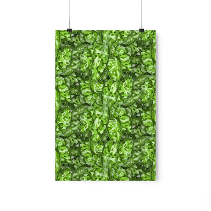 Aglaonema Pictum Botanical Print – Unframed Wall Art