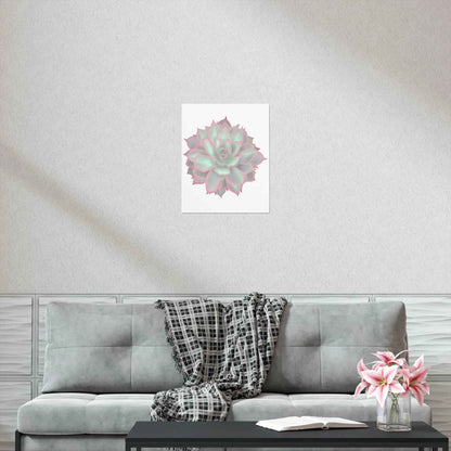 Echeveria Violet Queen Succulent Botanical Print – Unframed Wall Art