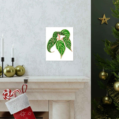 Aglaonema Sparkling Sarah Botanical Print – Unframed Wall Art