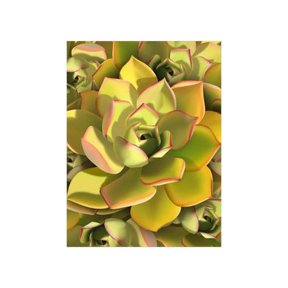Noble Aeonium Succulent Pattern Botanical Print – Unframed Wall Art