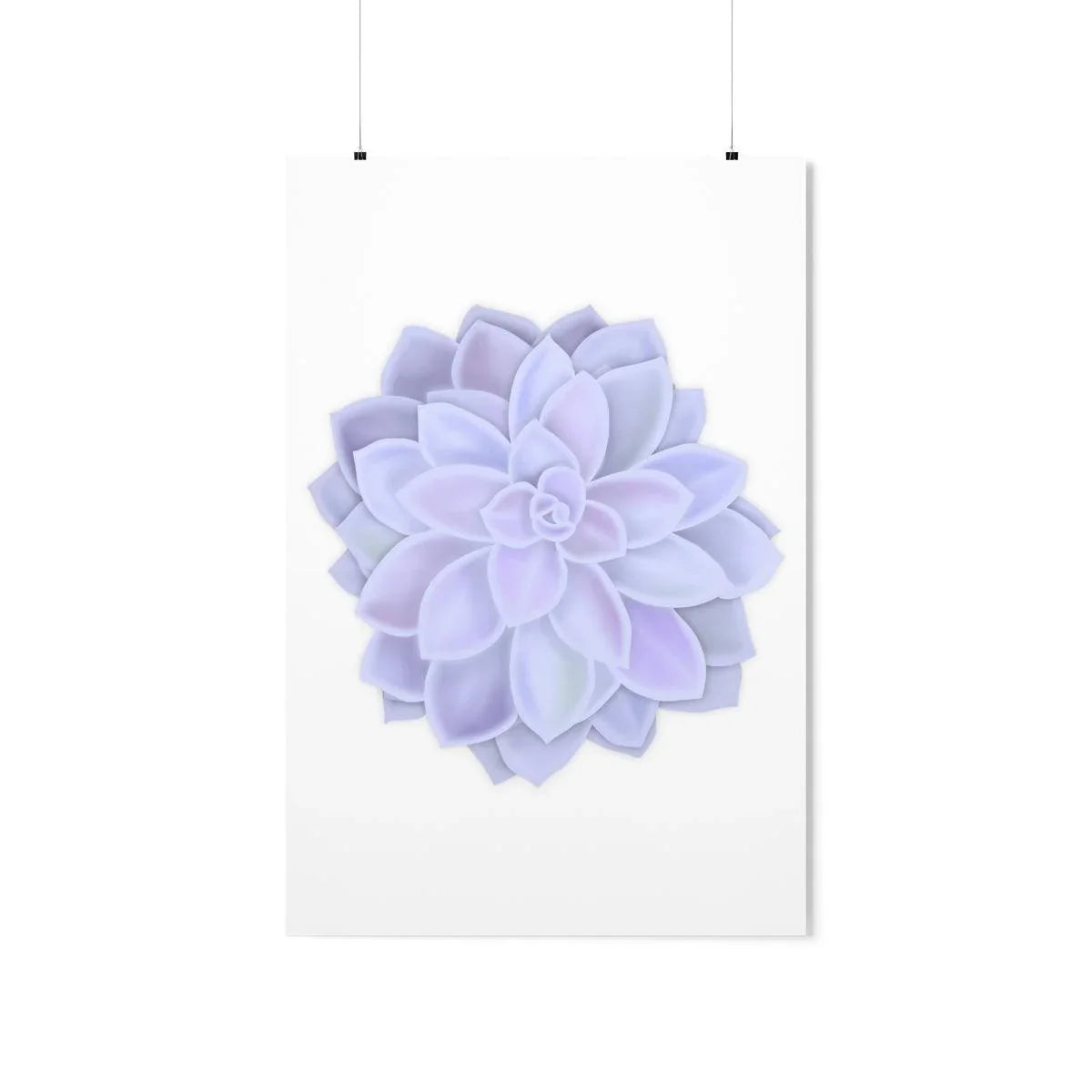Graptopetalum Murasaki Succulent Botanical Print – Unframed Wall Art