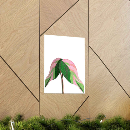 Pink Princess Philodendron Botanical Print – Unframed Wall Art
