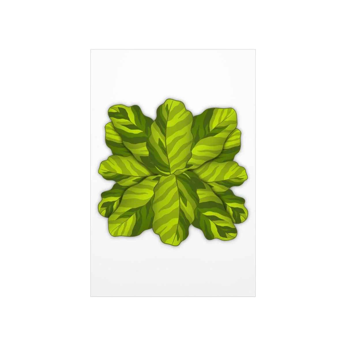 Calathea Yellow Fusion Botanical Print – Unframed Wall Art