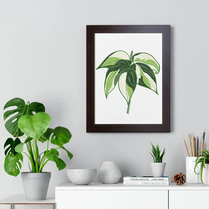 Philodendron Cream Splash Framed Print – Botanical Wall Art