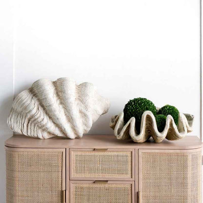 Home Desktop Decor Ornament Conch Shell