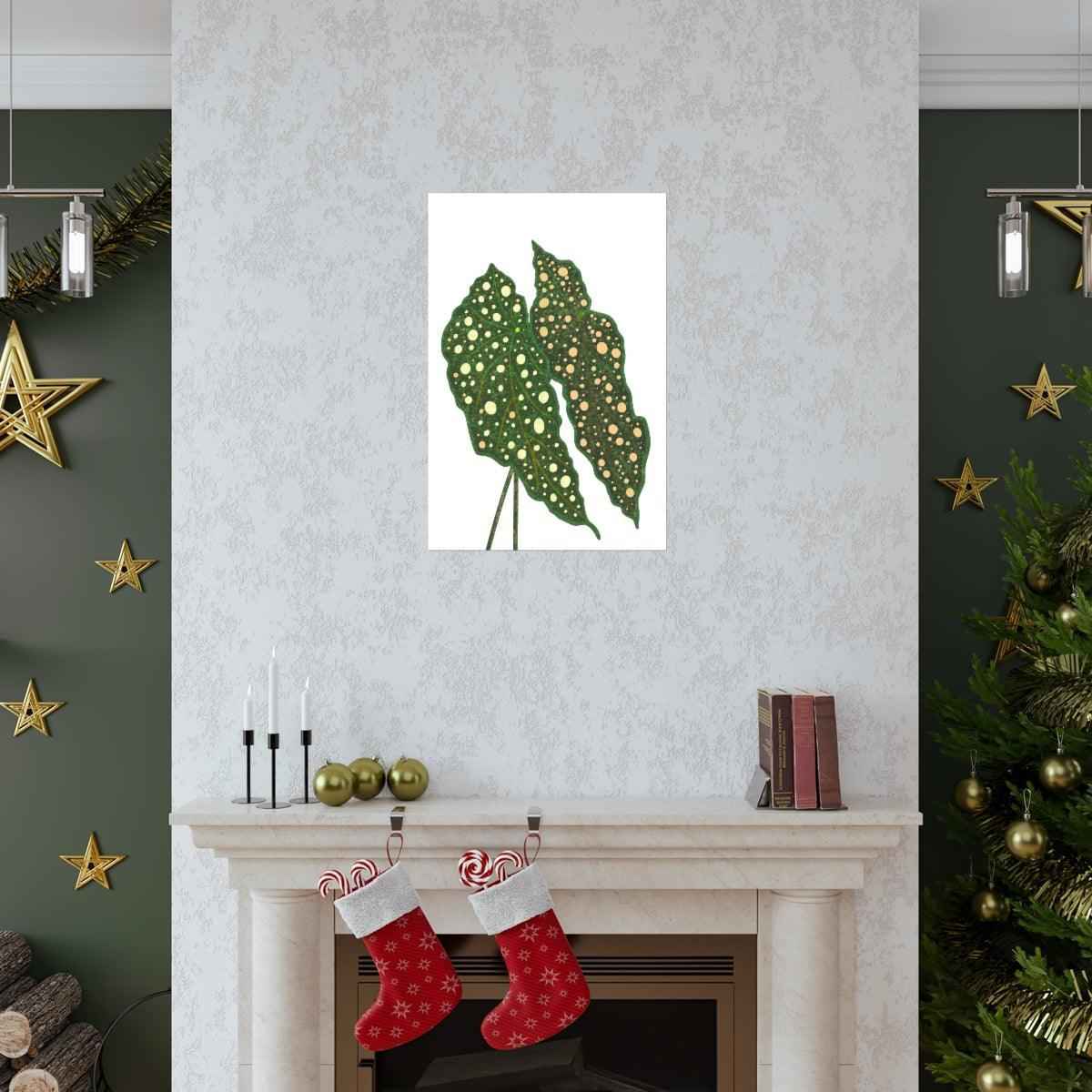 Begonia Maculata Botanical Print – Unframed Wall Art