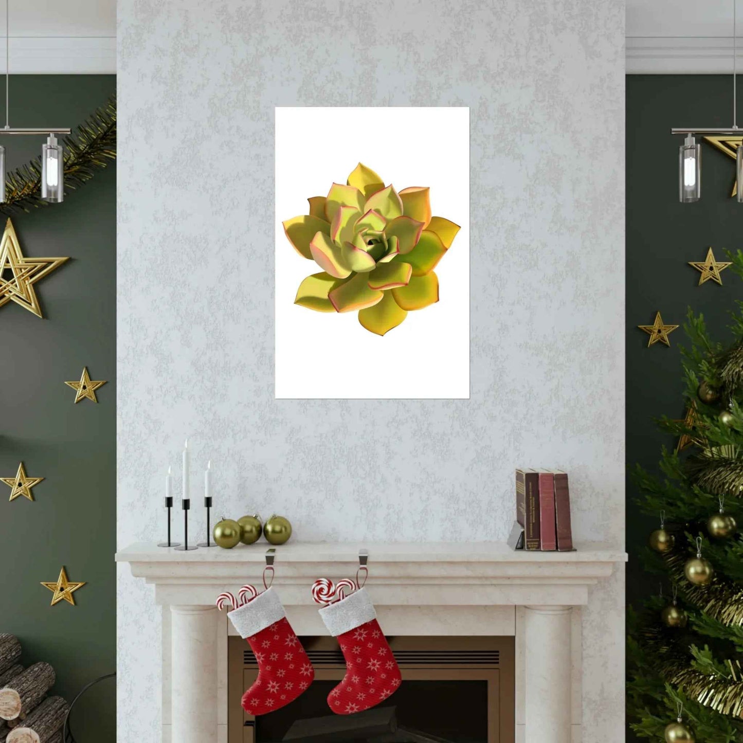 Noble Aeonium Succulent Botanical Print – Unframed Wall Art