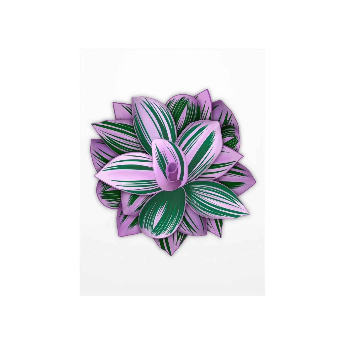 Tradescantia Nanouk Botanical Print – Unframed Wall Art