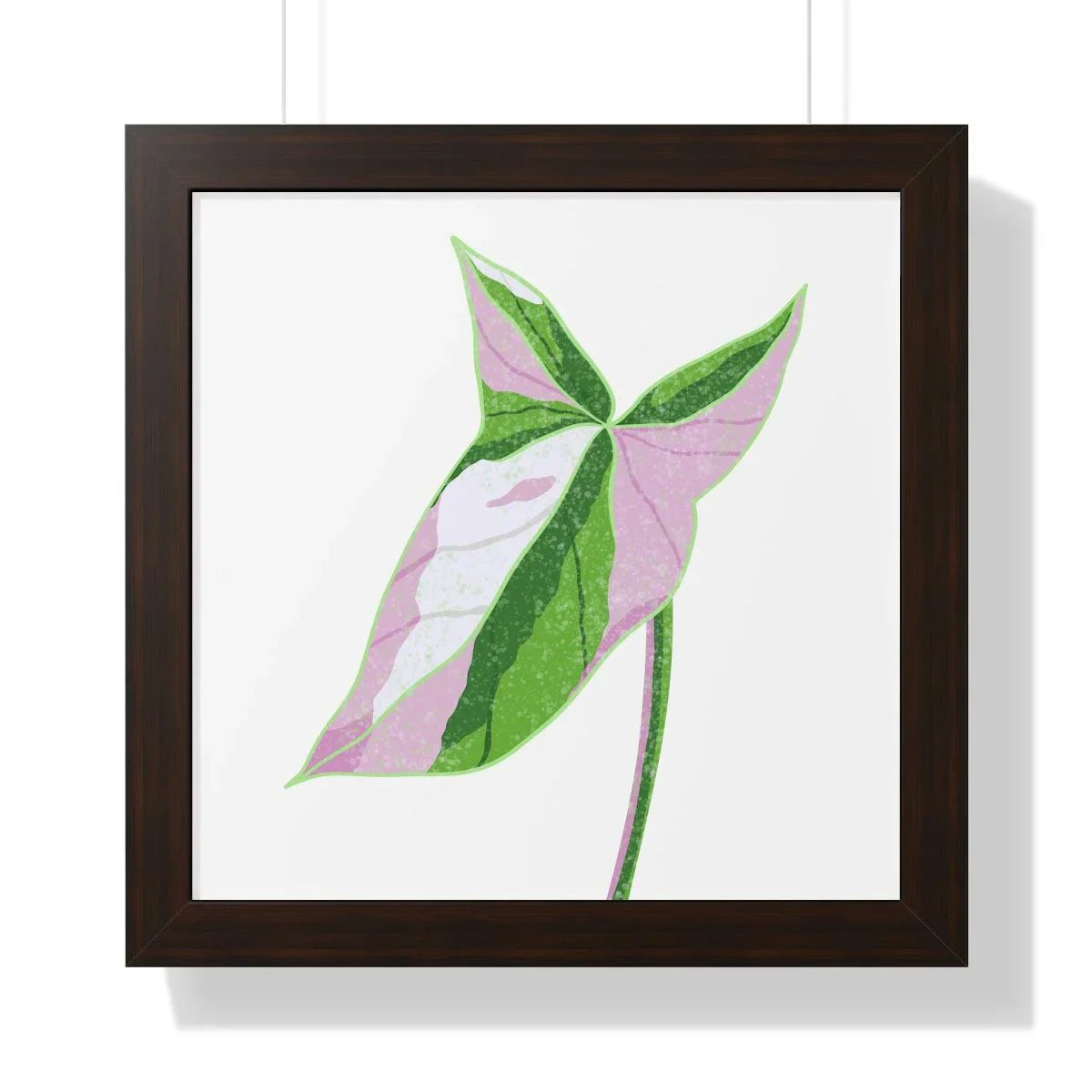 Syngonium Tricolor Framed Print – Botanical Wall Art