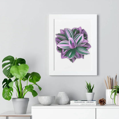 Tradescantia Nanouk Framed Print – Botanical Wall Art