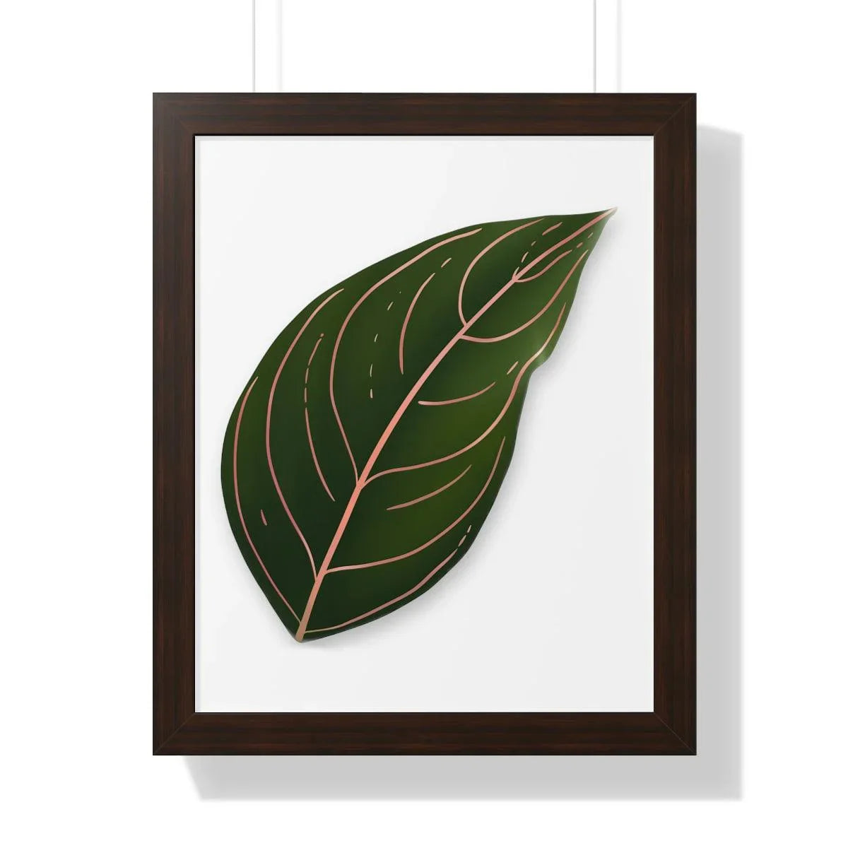 Aglaonema Rotundum Framed Print – Botanical Wall Art