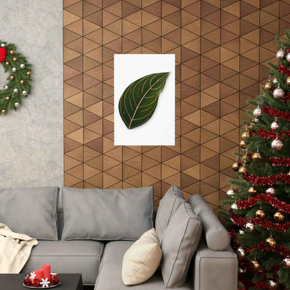 Aglaonema Rotundum Botanical Print – Unframed Wall Art