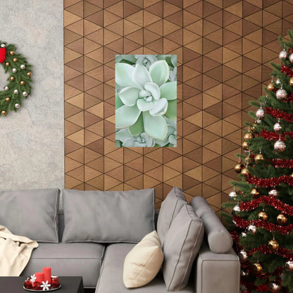 Pachyveria Haagei Succulent Pattern Botanical Print – Unframed Wall Art