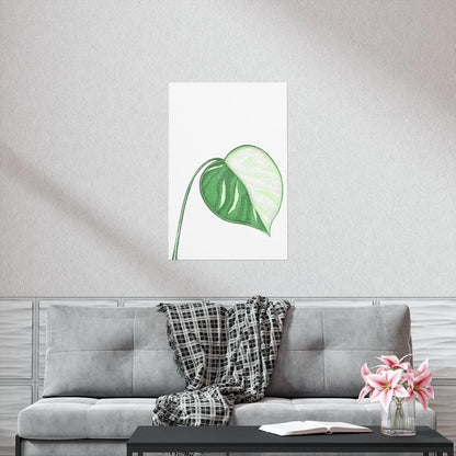 Monstera Albo Botanical Print – Unframed Wall Art