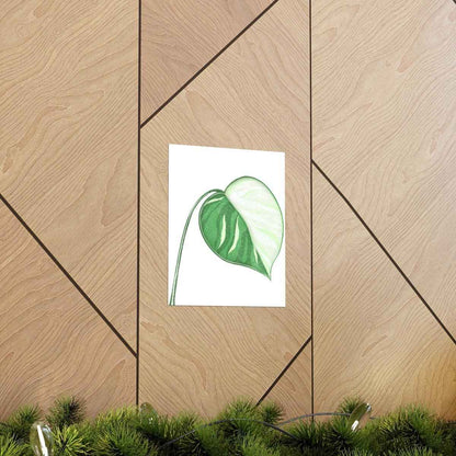 Monstera Albo Botanical Print – Unframed Wall Art