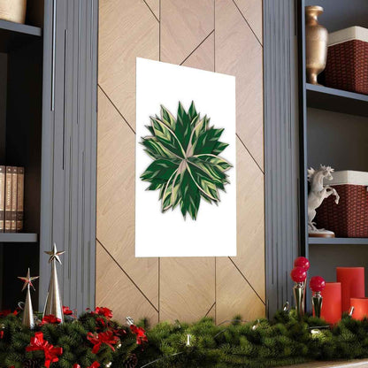 Stromanthe Triostar Botanical Print – Unframed Wall Art