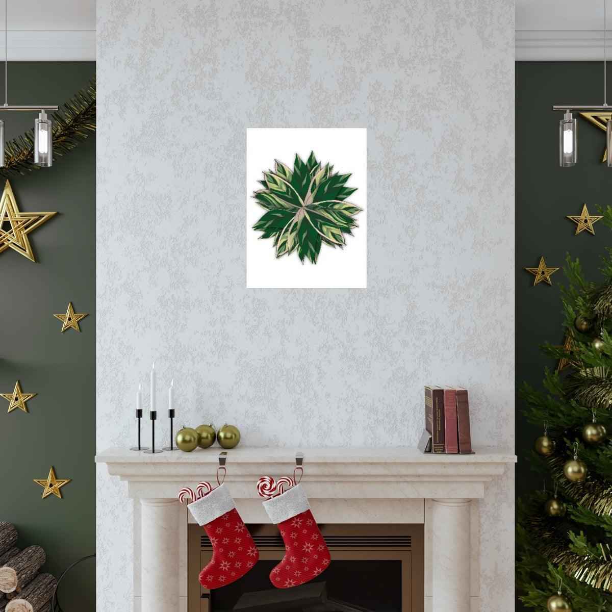 Stromanthe Triostar Botanical Print – Unframed Wall Art