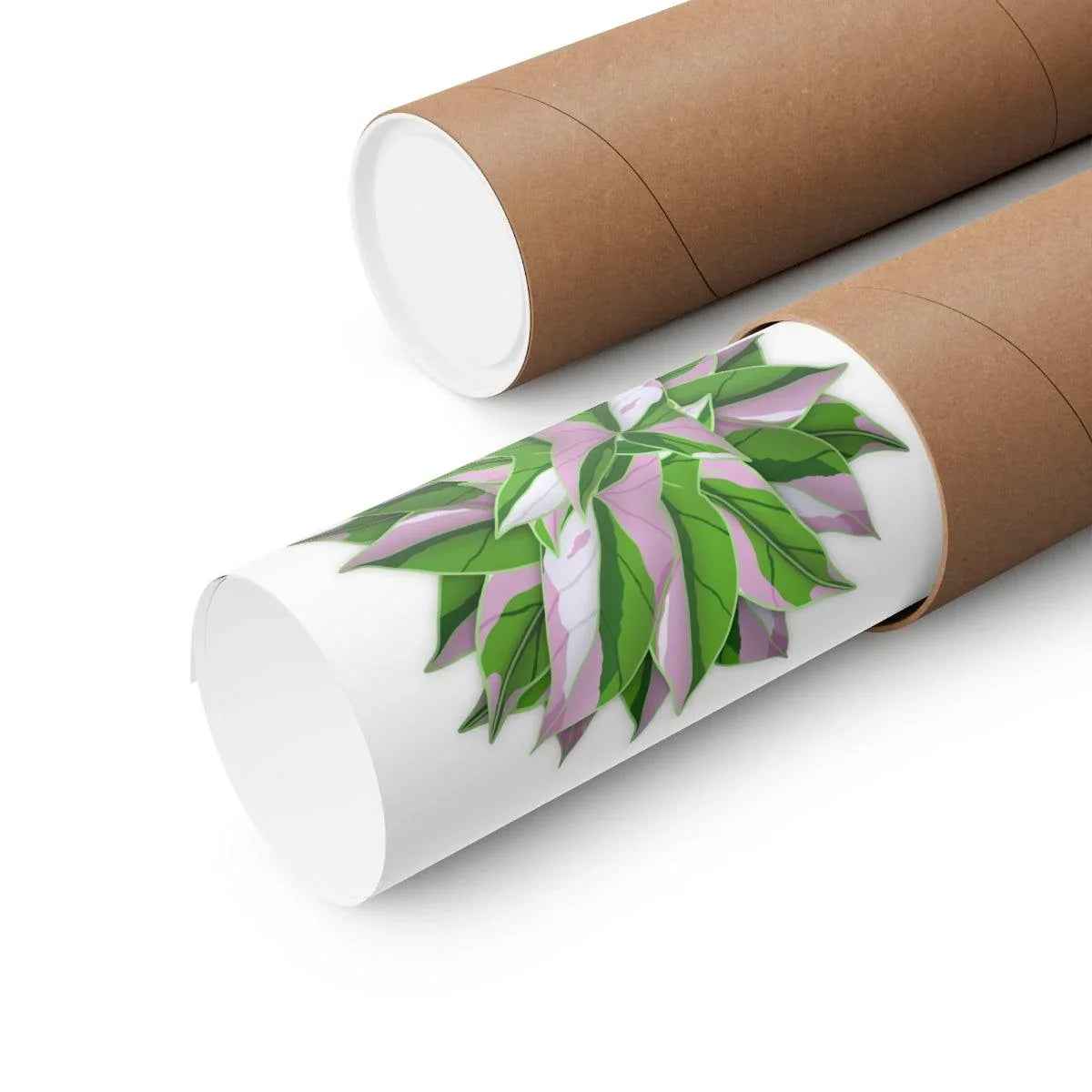 Syngonium Tricolor Pattern Botanical Print – Unframed Wall Art