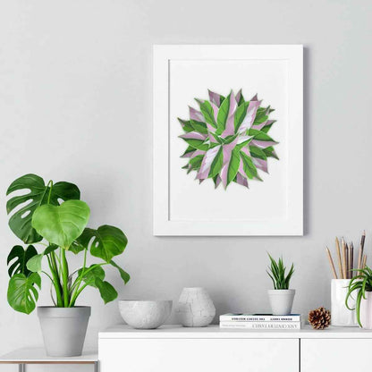 Syngonium Tricolor Pattern Framed Print – Botanical Wall Art