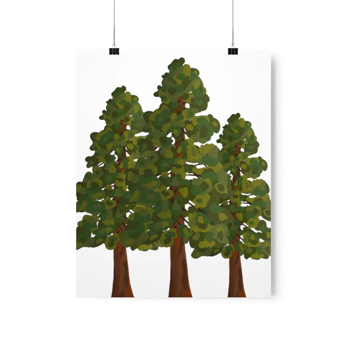 Coastal Redwood Print – Unframed Wall Art