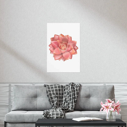 Graptosedum California Sunset Succulent Botanical Print – Unframed Wall Art