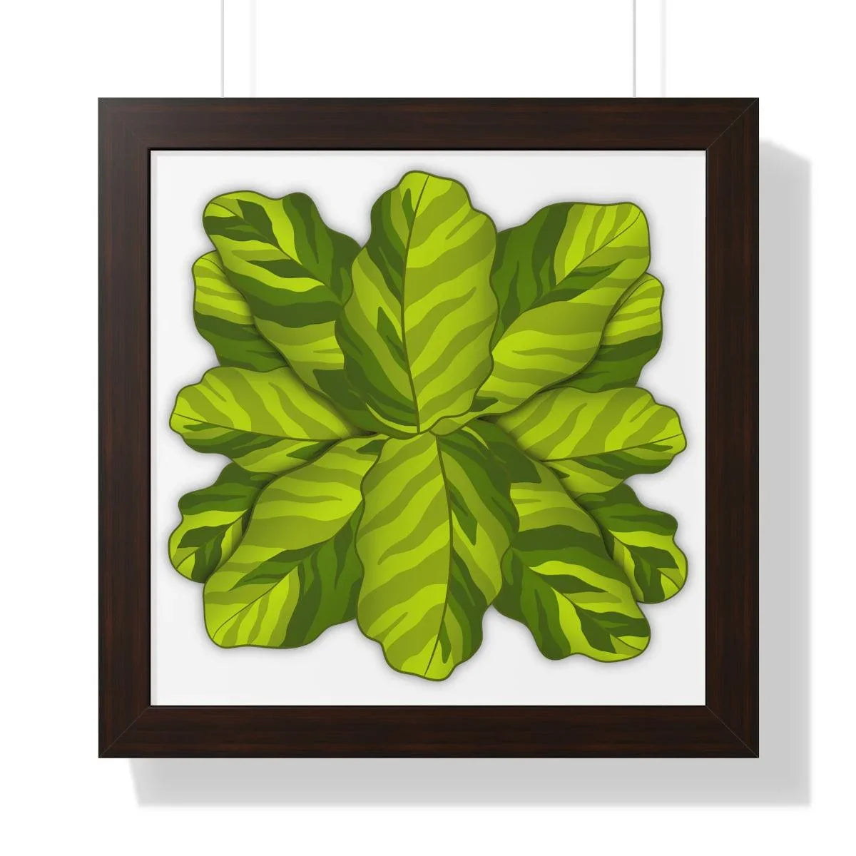 Calathea Yellow Fusion Framed Print – Botanical Wall Art