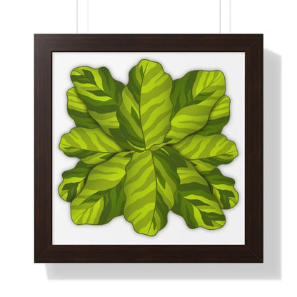 Calathea Yellow Fusion Framed Print – Botanical Wall Art