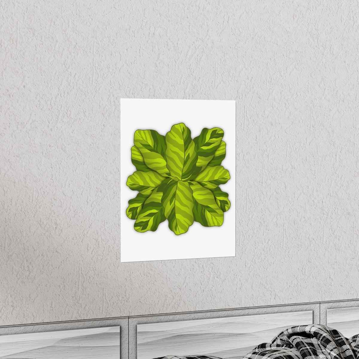 Calathea Yellow Fusion Botanical Print – Unframed Wall Art