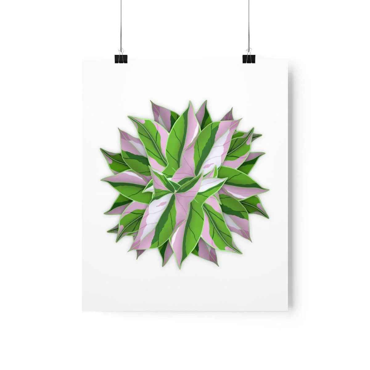 Syngonium Tricolor Pattern Botanical Print – Unframed Wall Art