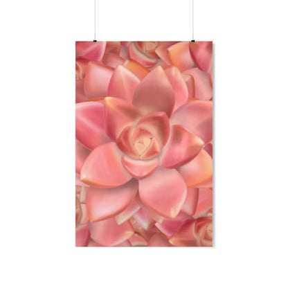 Graptosedum California Sunset Succulent Pattern Botanical Print – Unframed Wall Art