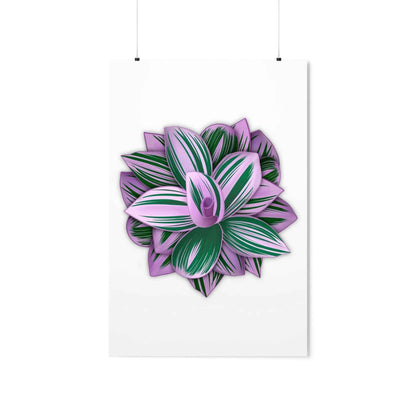 Tradescantia Nanouk Botanical Print – Unframed Wall Art