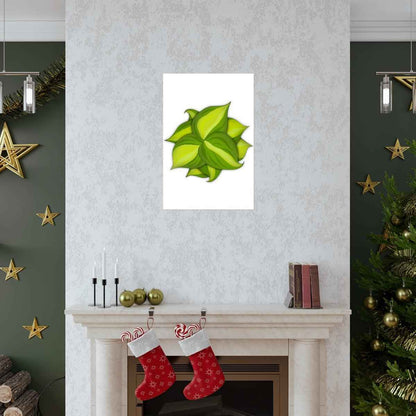 Philodendron Brasil Botanical Print – Unframed Wall Art